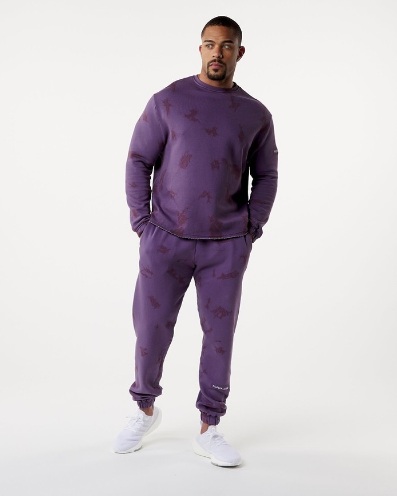 Hanorace Barbati Alphalete HCTS Drop Shoulder Violet | 481952-KXA