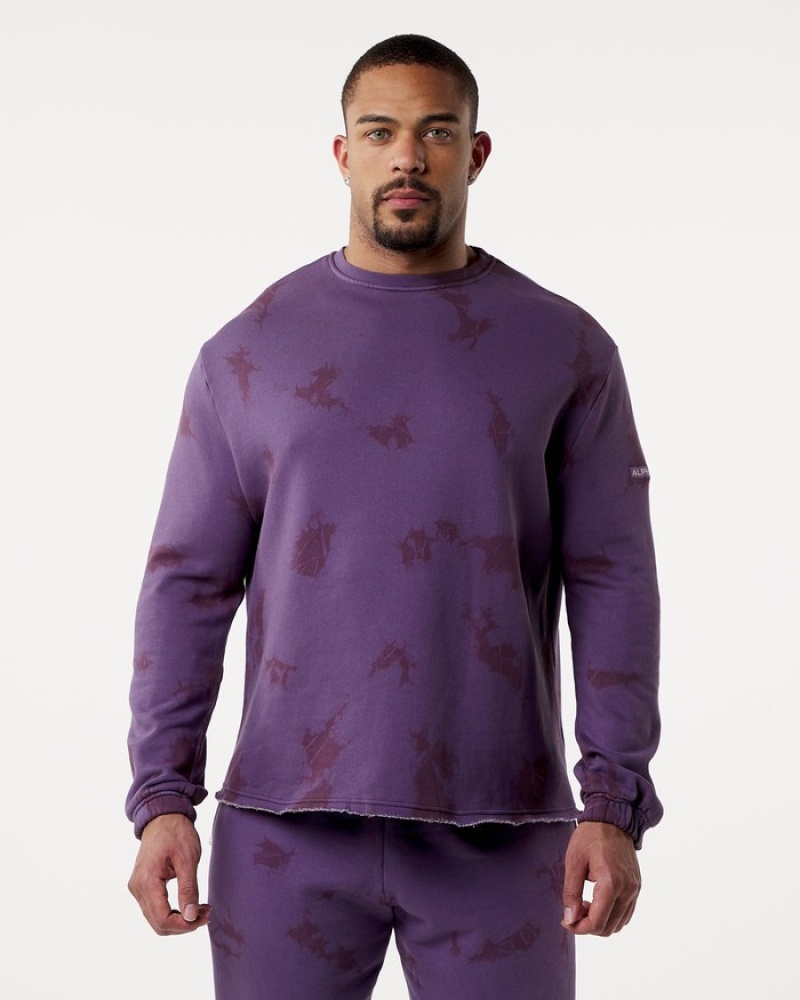 Hanorace Barbati Alphalete HCTS Drop Shoulder Violet | 481952-KXA