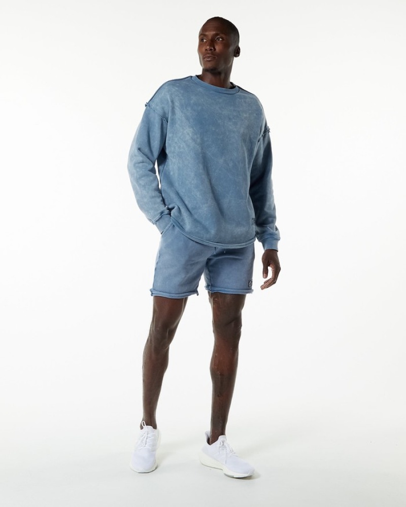 Hanorace Barbati Alphalete Very Terry Pullover Albastri | 893450-ZHN