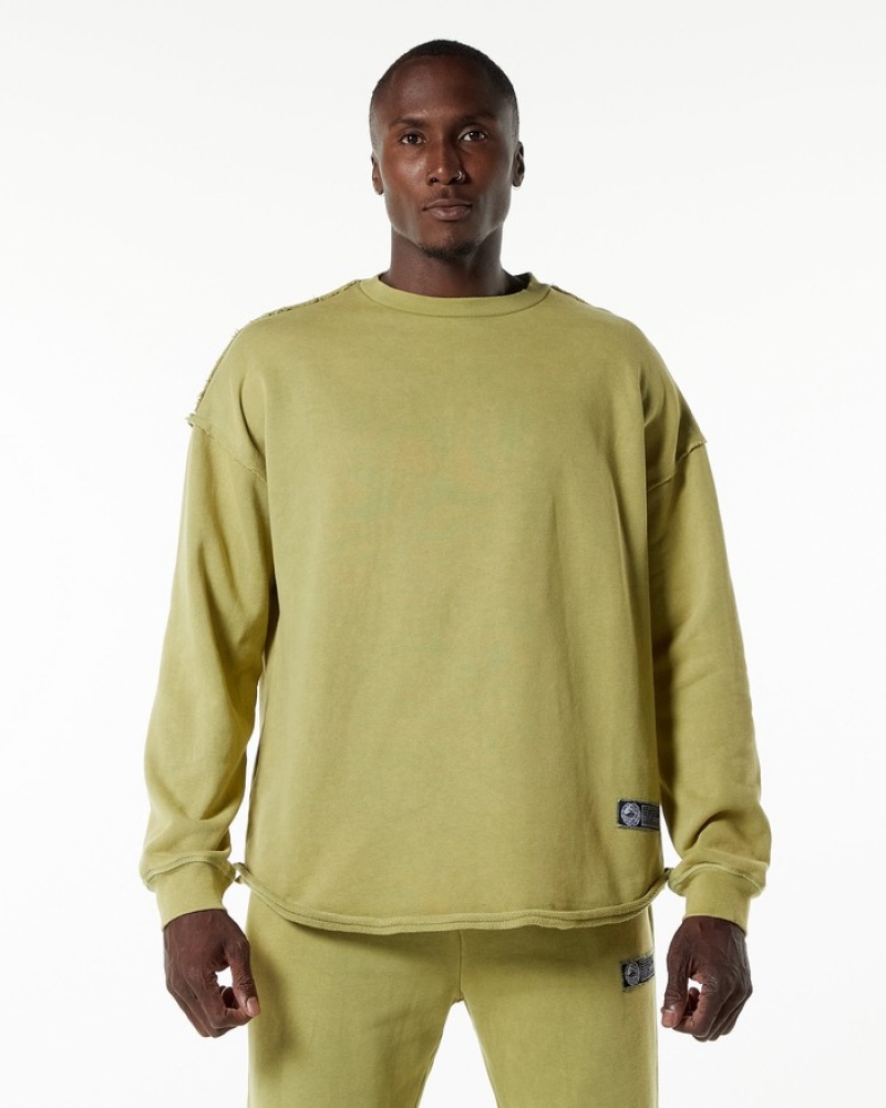 Hanorace Barbati Alphalete Very Terry Pullover Verzi | 529304-UEO
