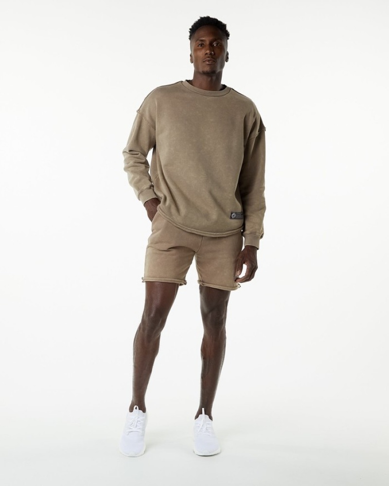 Hanorace Barbati Alphalete Very Terry Pullover Gri | 601258-TZD