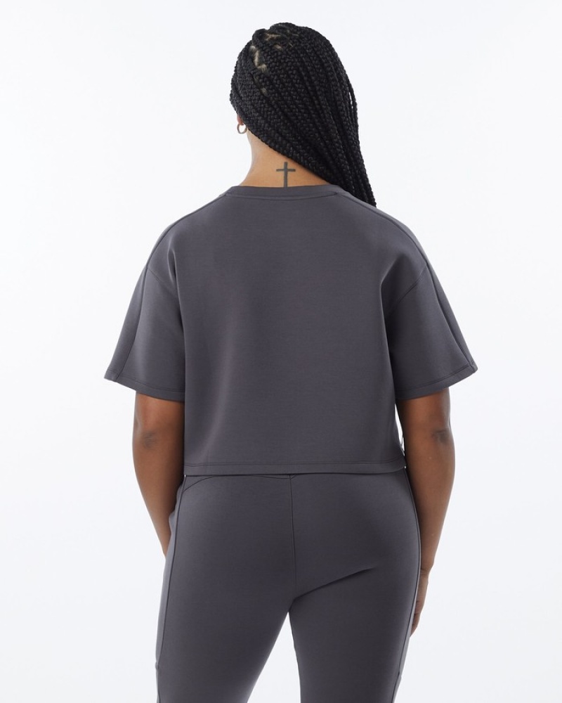 Hanorace Dama Alphalete ELMTS Half Sleeve Pullover Gri | 180349-KBI