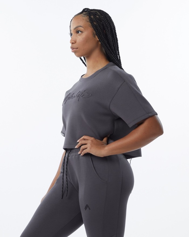 Hanorace Dama Alphalete ELMTS Half Sleeve Pullover Gri | 180349-KBI