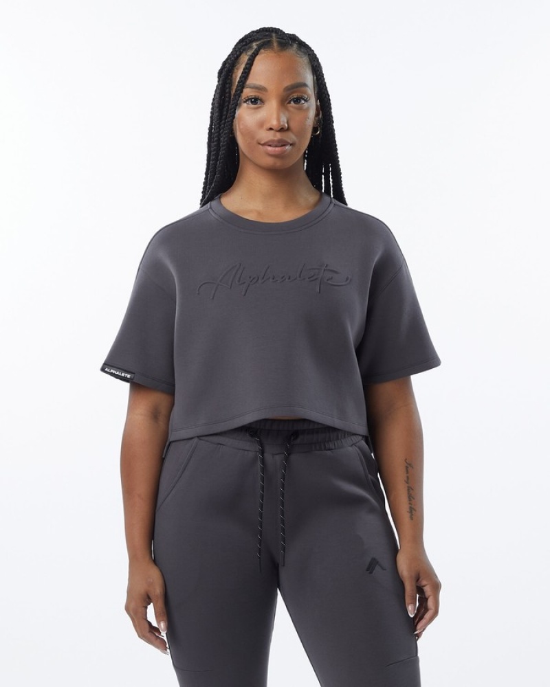 Hanorace Dama Alphalete ELMTS Half Sleeve Pullover Gri | 180349-KBI