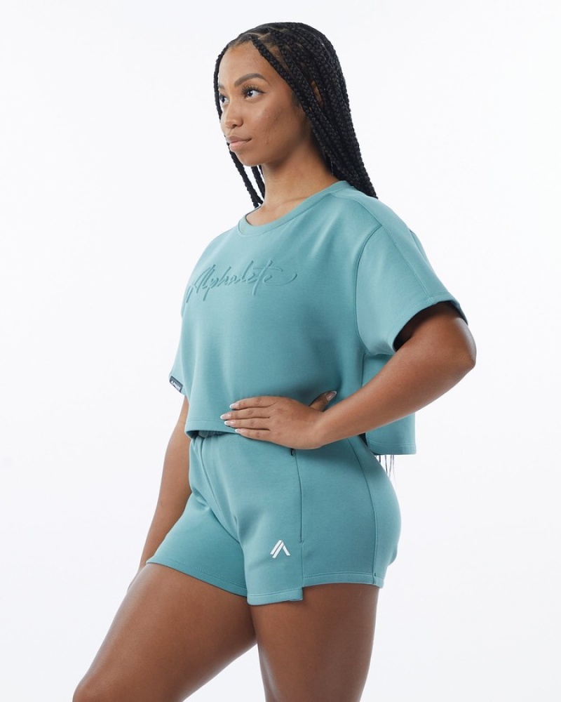 Hanorace Dama Alphalete ELMTS Half Sleeve Pullover Turcoaz | 915267-XZQ