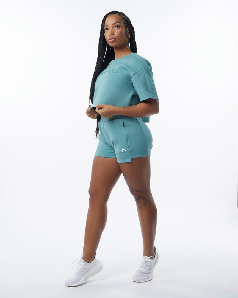 Hanorace Dama Alphalete ELMTS Half Sleeve Pullover Turcoaz | 915267-XZQ