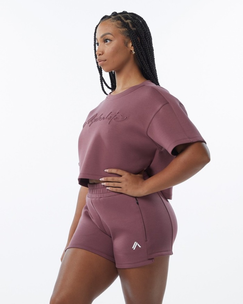 Hanorace Dama Alphalete ELMTS Half Sleeve Pullover Violet | 174983-NYW