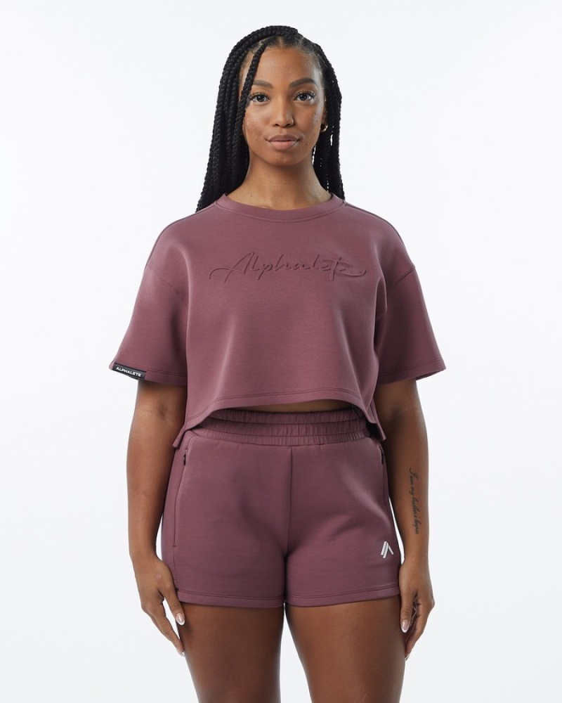 Hanorace Dama Alphalete ELMTS Half Sleeve Pullover Violet | 174983-NYW