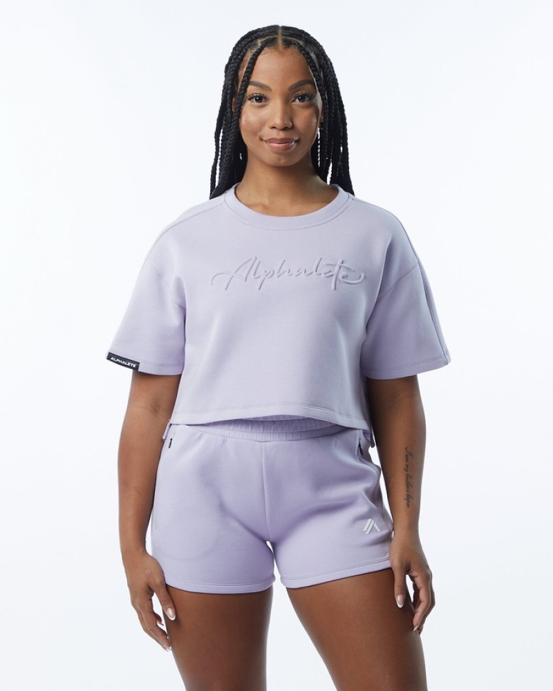 Hanorace Dama Alphalete ELMTS Half Sleeve Pullover Violet | 370594-RKU