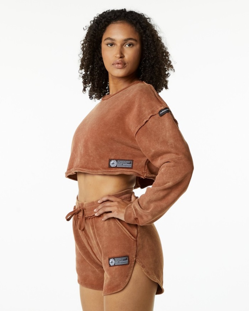 Hanorace Dama Alphalete Very Terry Crop Pullover Kaki | 830652-ERK