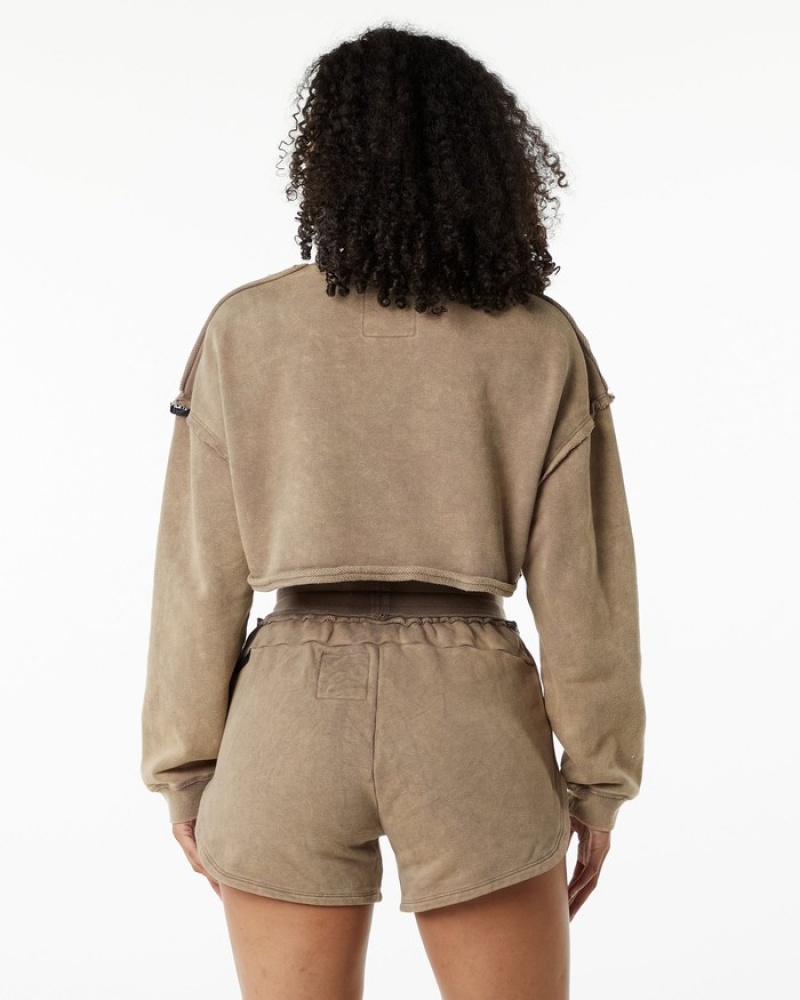 Hanorace Dama Alphalete Very Terry Crop Pullover Gri | 839176-DFV