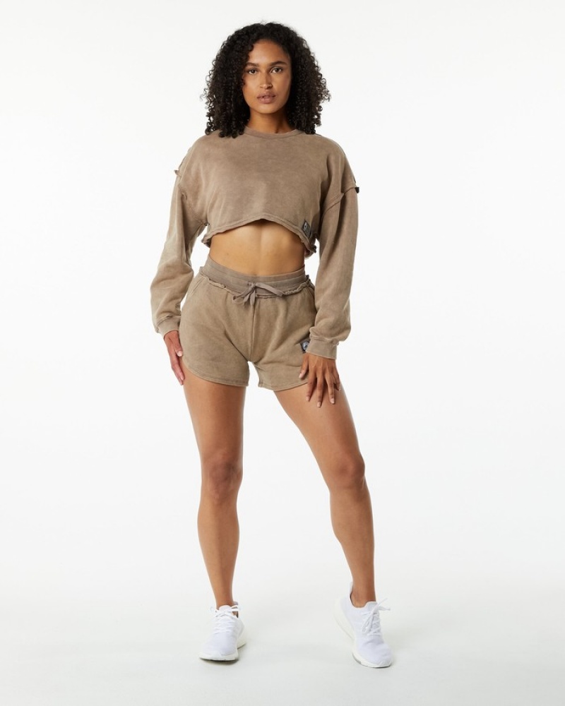 Hanorace Dama Alphalete Very Terry Crop Pullover Gri | 839176-DFV