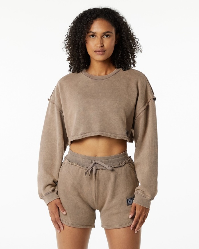 Hanorace Dama Alphalete Very Terry Crop Pullover Gri | 839176-DFV