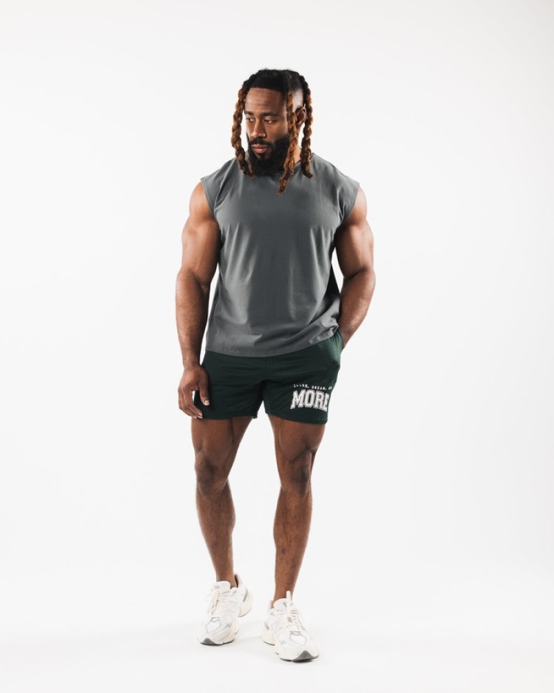 Maiouri Barbati Alphalete Brushed Wolf Head Muscle Gri | 368492-IRD