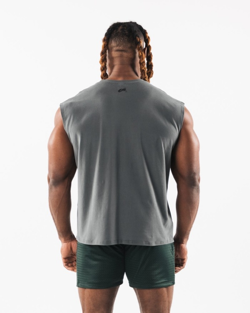 Maiouri Barbati Alphalete Brushed Wolf Head Muscle Gri | 368492-IRD