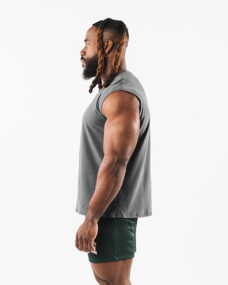 Maiouri Barbati Alphalete Brushed Wolf Head Muscle Gri | 368492-IRD