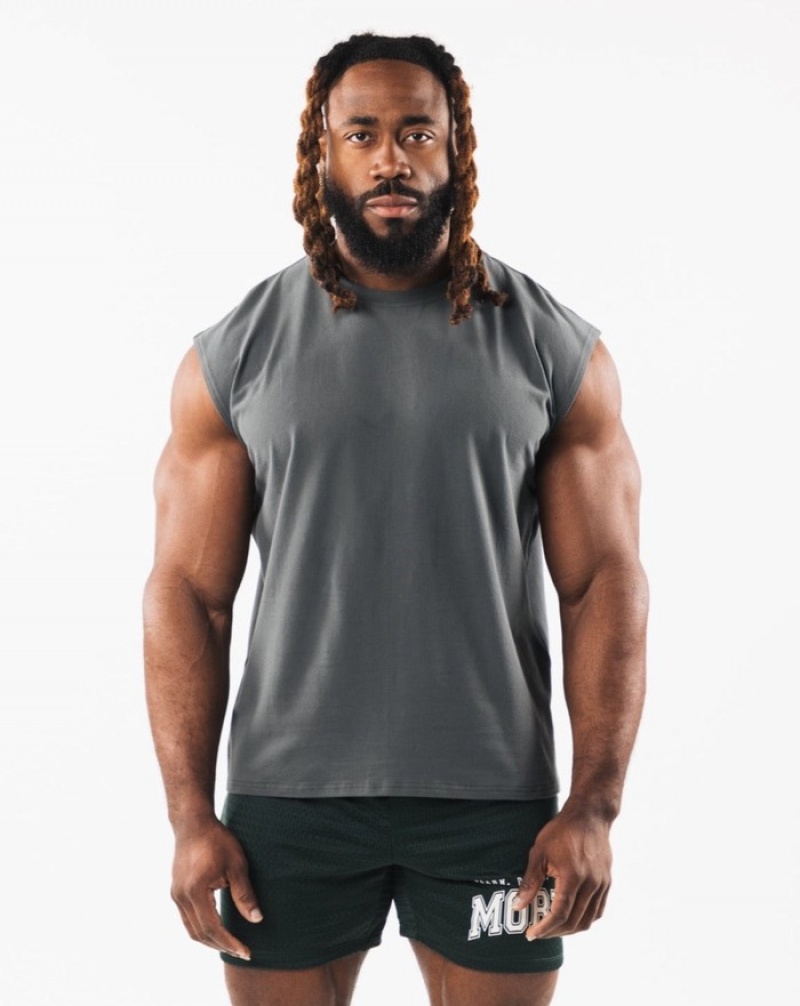 Maiouri Barbati Alphalete Brushed Wolf Head Muscle Gri | 368492-IRD