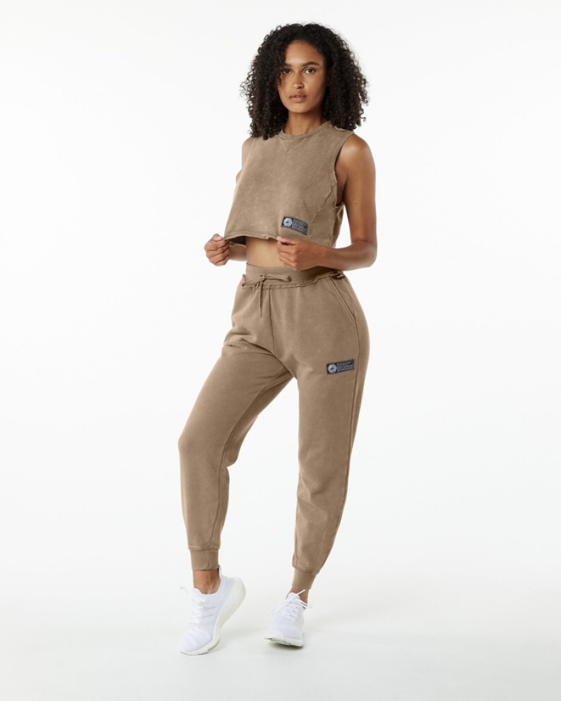 Maiouri Dama Alphalete Very Terry Crop Cutoff Gri | 825463-KAO