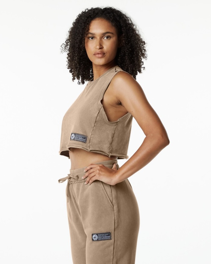 Maiouri Dama Alphalete Very Terry Crop Cutoff Gri | 825463-KAO
