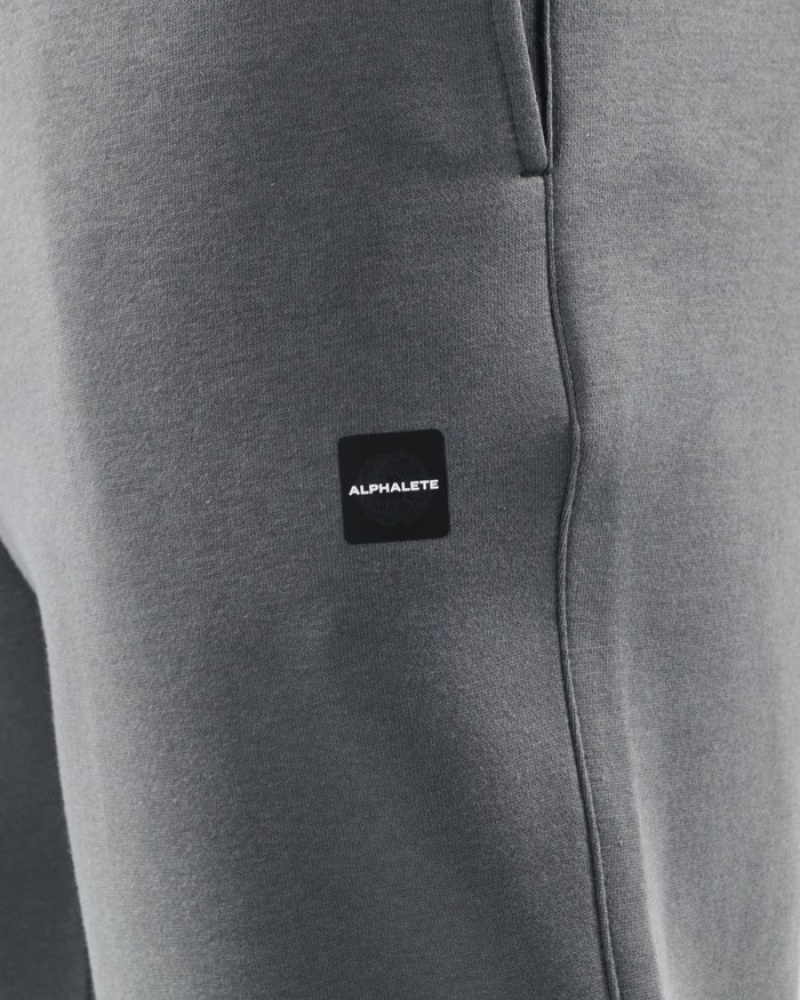 Pantaloni Jogger Barbati Alphalete Academy Relaxed Gri | 483591-AQJ