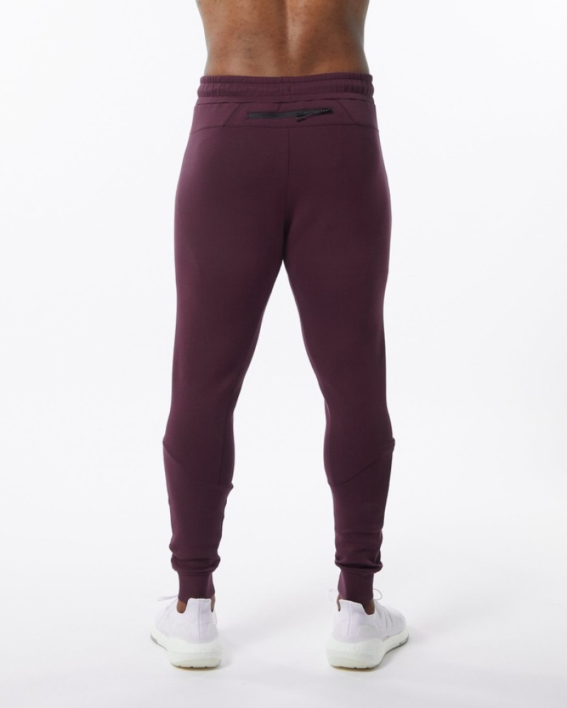 Pantaloni Jogger Barbati Alphalete ELMTS Cuffed Visinii | 895760-VCD