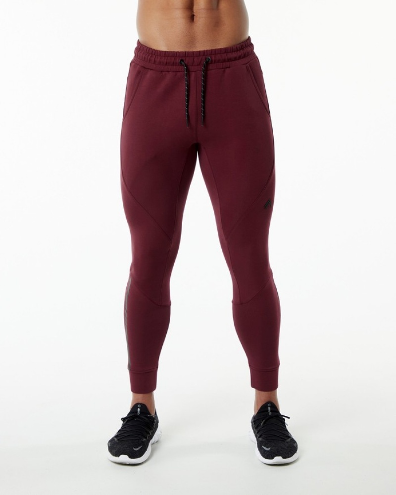 Pantaloni Jogger Barbati Alphalete ELMTS Cuffed Visinii | 596812-XVF