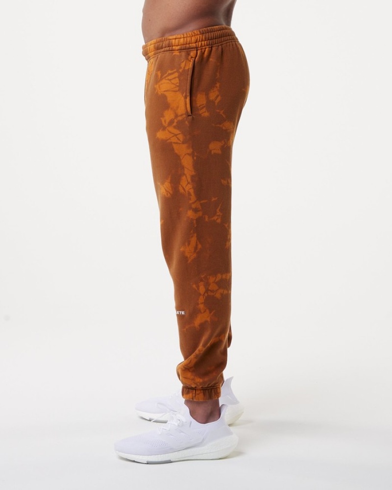 Pantaloni Jogger Barbati Alphalete HCTS Portocalii | 341568-UQY