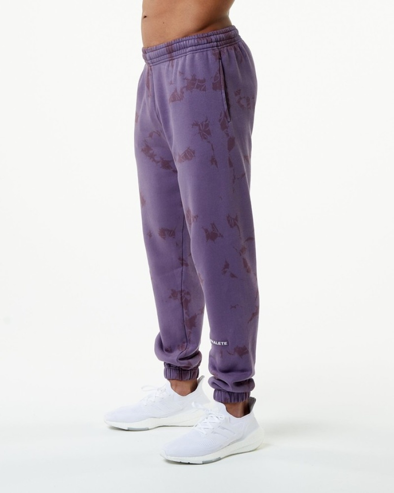 Pantaloni Jogger Barbati Alphalete HCTS Violet | 694258-WXP