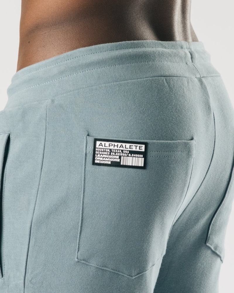 Pantaloni Jogger Barbati Alphalete Identity Albastri | 287016-DEA