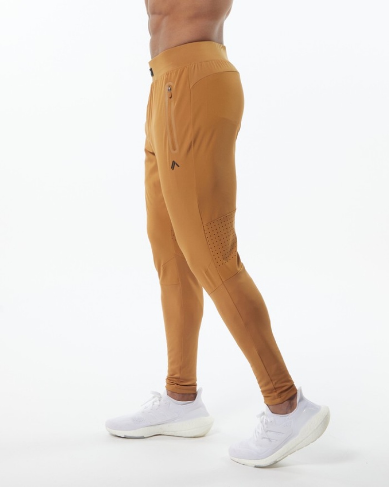 Pantaloni Jogger Barbati Alphalete Infinity Tech Maro | 014627-GFI