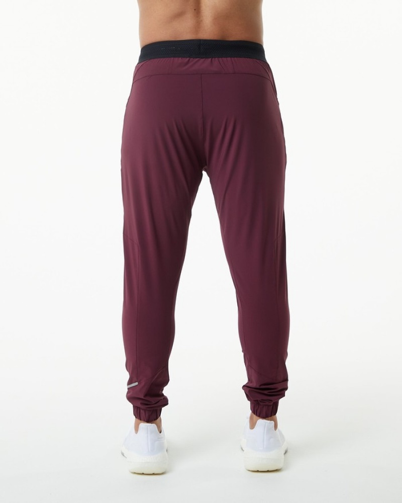 Pantaloni Jogger Barbati Alphalete Studio Visinii | 760934-OHU