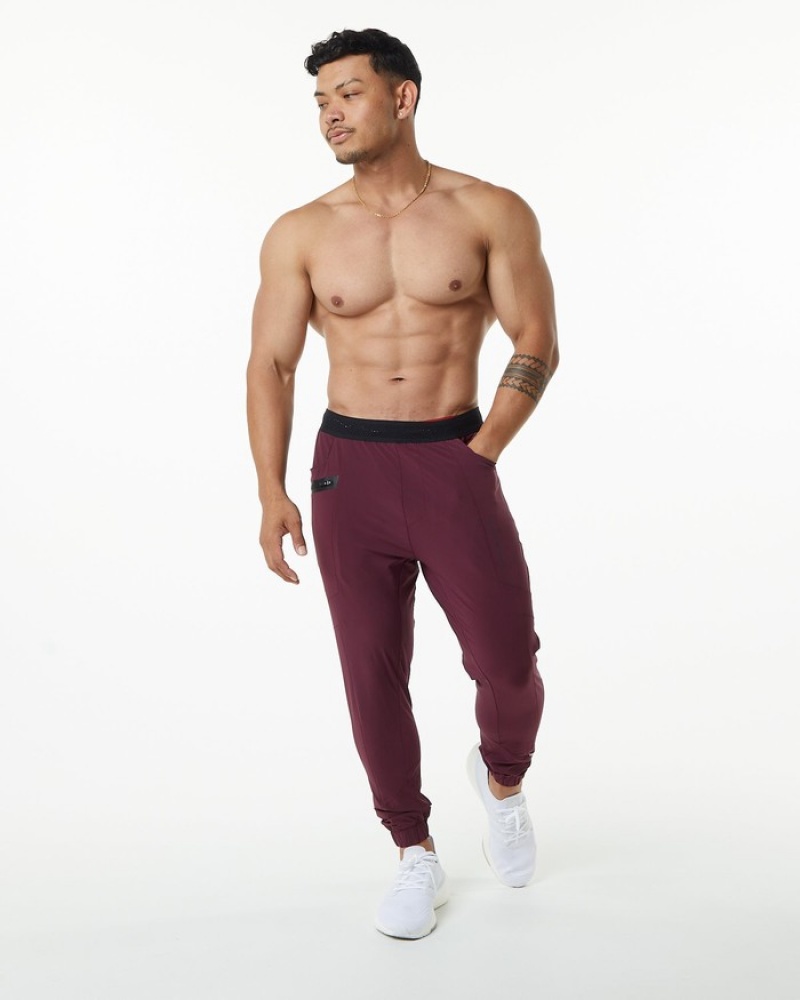 Pantaloni Jogger Barbati Alphalete Studio Visinii | 760934-OHU