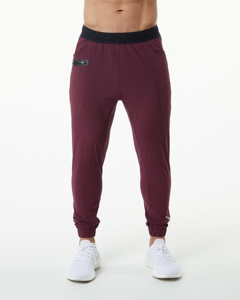 Pantaloni Jogger Barbati Alphalete Studio Visinii | 760934-OHU
