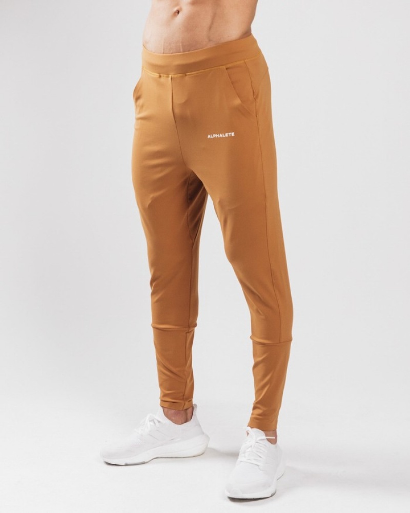 Pantaloni Jogger Barbati Alphalete Trace Maro | 916027-JMY