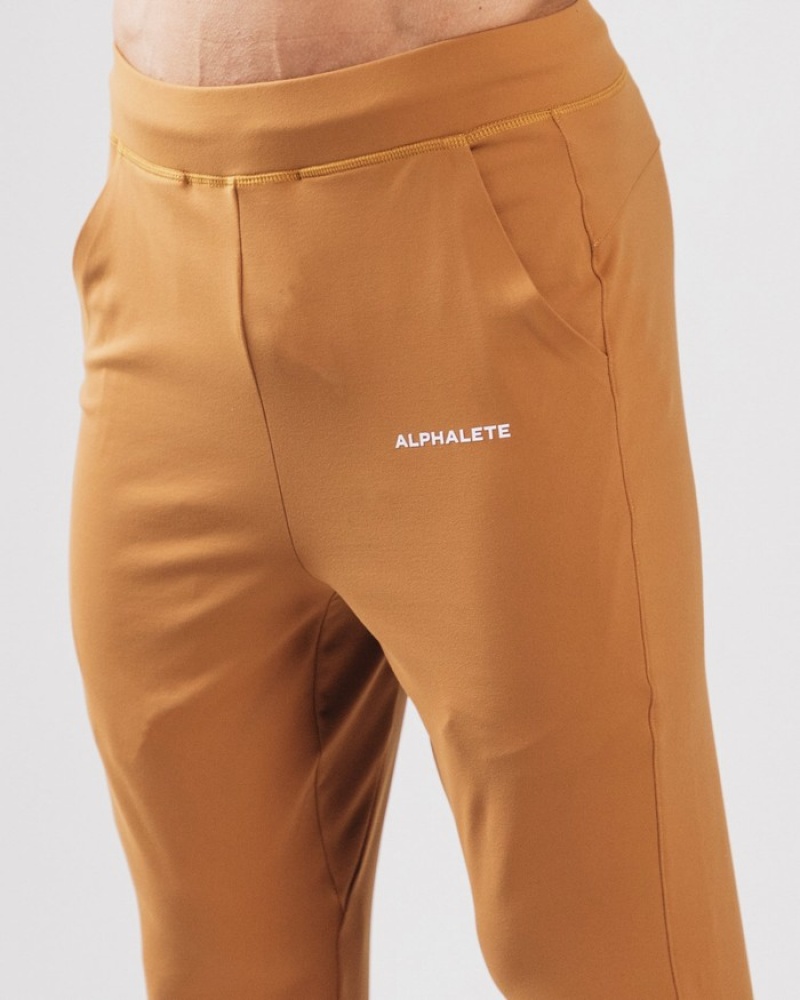 Pantaloni Jogger Barbati Alphalete Trace Maro | 916027-JMY
