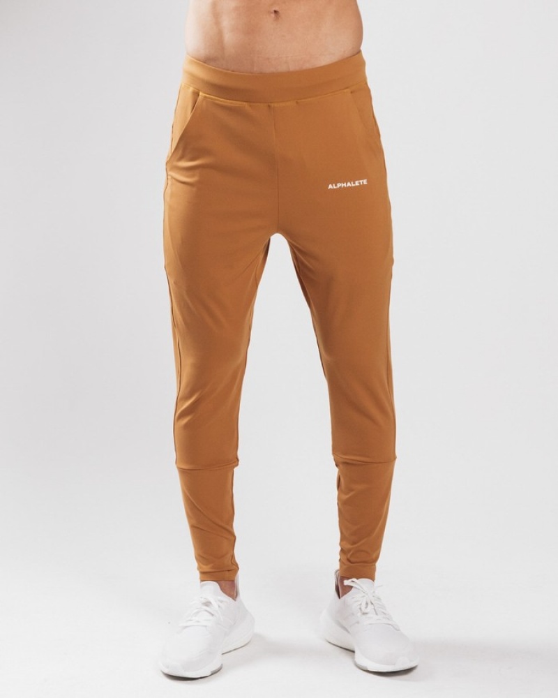 Pantaloni Jogger Barbati Alphalete Trace Maro | 916027-JMY