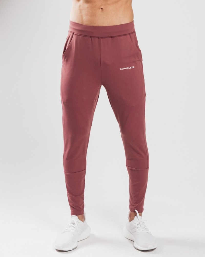 Pantaloni Jogger Barbati Alphalete Trace Violet | 796052-LSM