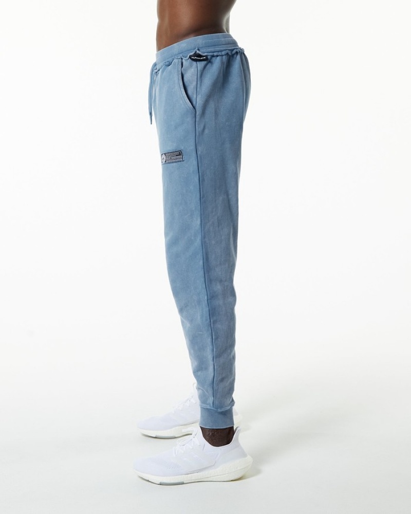Pantaloni Jogger Barbati Alphalete Very Terry Albastri | 436291-QZA