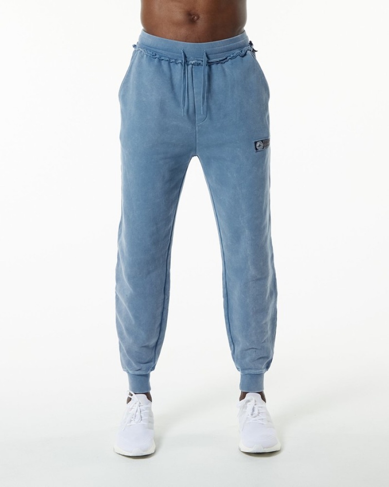 Pantaloni Jogger Barbati Alphalete Very Terry Albastri | 436291-QZA