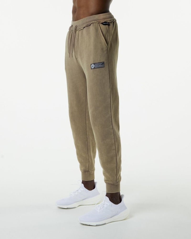 Pantaloni Jogger Barbati Alphalete Very Terry Gri | 593704-YOM