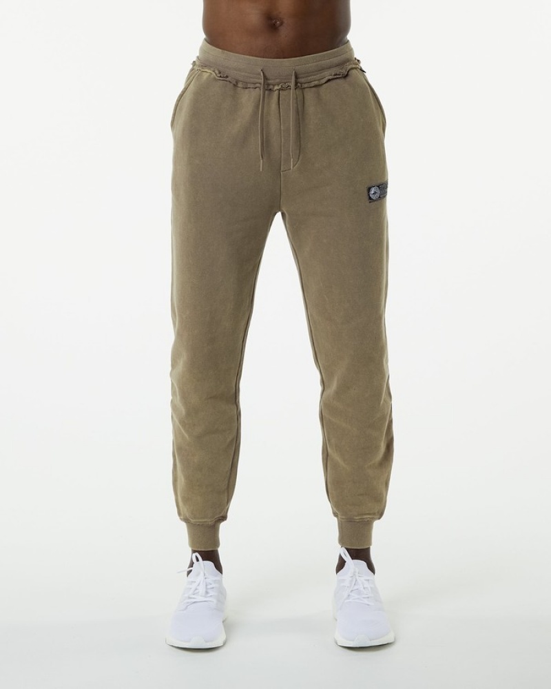 Pantaloni Jogger Barbati Alphalete Very Terry Gri | 593704-YOM
