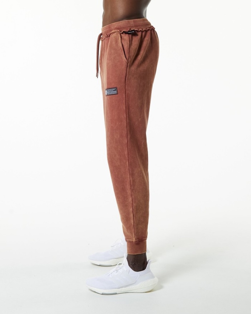 Pantaloni Jogger Barbati Alphalete Very Terry Visinii | 617904-TDQ