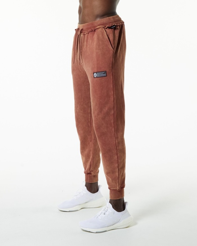 Pantaloni Jogger Barbati Alphalete Very Terry Visinii | 617904-TDQ