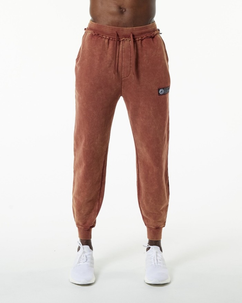 Pantaloni Jogger Barbati Alphalete Very Terry Visinii | 617904-TDQ
