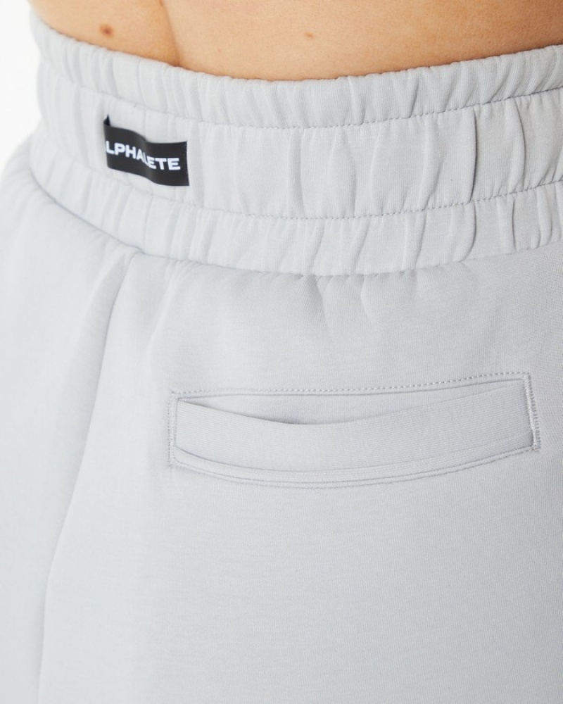 Pantaloni Jogger Dama Alphalete ELMTS Cuffed Gri | 951240-LTC