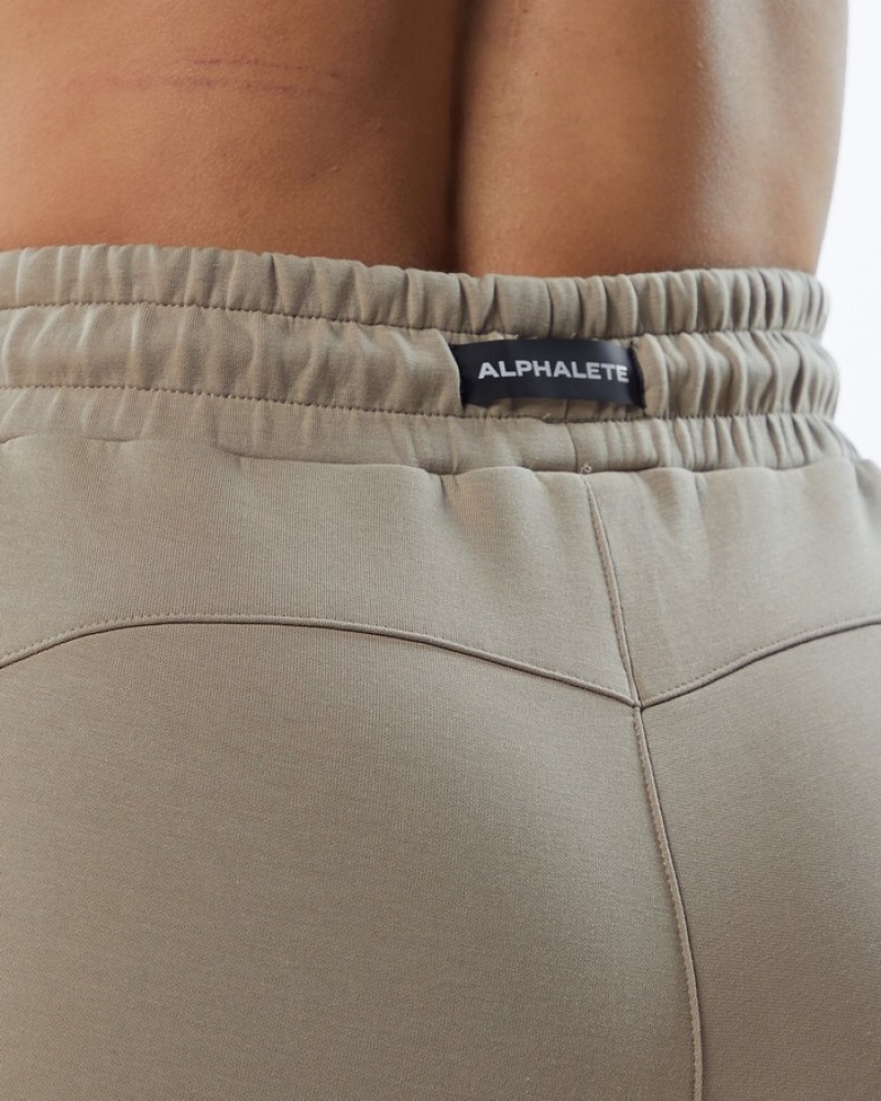Pantaloni Jogger Dama Alphalete ELMTS Zip Maro | 412507-PSG