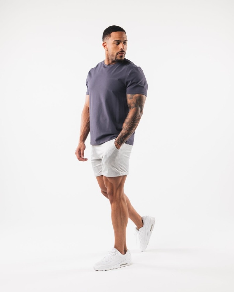 Pantaloni Scurti Barbati Alphalete AA Mesh 6” Gri | 263849-MAL