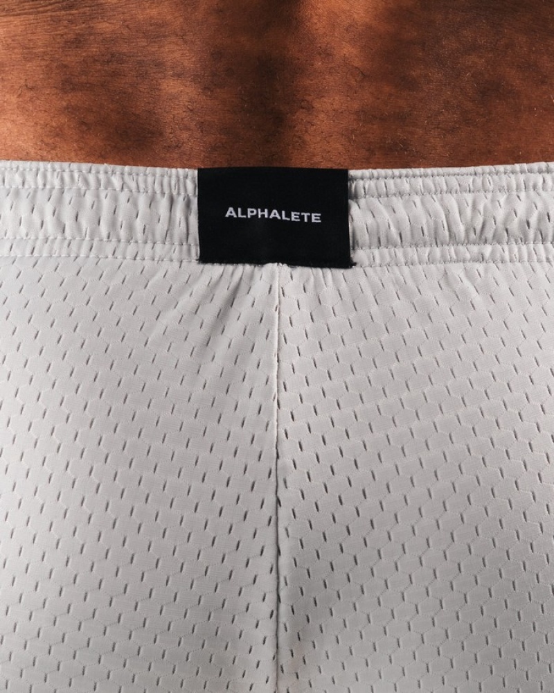 Pantaloni Scurti Barbati Alphalete AA Mesh 6” Gri | 263849-MAL