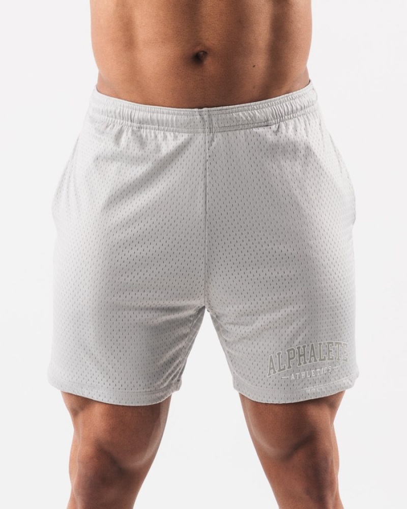 Pantaloni Scurti Barbati Alphalete AA Mesh 6” Gri | 263849-MAL