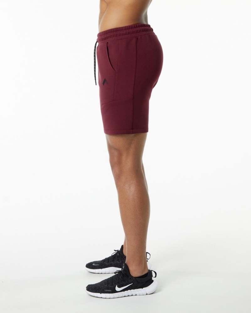 Pantaloni Scurti Barbati Alphalete ELMTS Atletism 6
